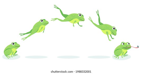 개구리들의 움직이는 과정은 순서를 따라간다.만화의 두꺼비가 먹이를 향해 뛰어오르고, 곤충 벡터 일러스트레이션 세트를 잡습니다.동물, 이동 개념