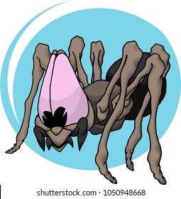 the animated spider is gray with big pink eyes good