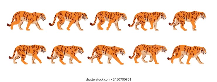 Animated tiger full gait animation cycle.