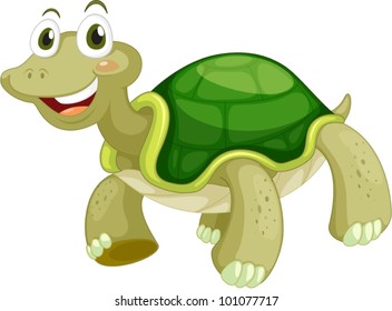 Animated Turtle On A White Background