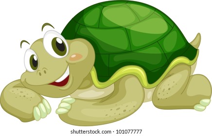 Animated Turtle On A White Background