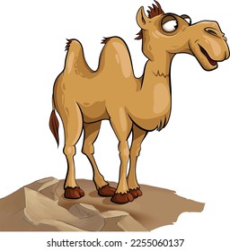 Animated two-humped camel in the desert