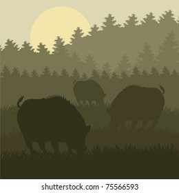 Animiertes Wildschwein in Wald Laub Illustration