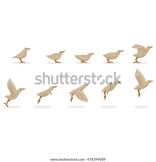 Animation Bird Flight Stock Vector Royalty Free 478394089 Animation Bird Flight Stock Vector Royalty Free 478394089