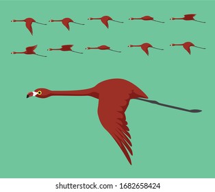 Animation Bird Red Flamingo Flying Cute Cartoon Vector Illustration