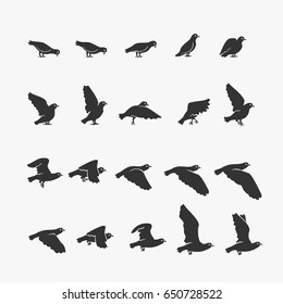 Animation Dove flying Vector Illustration