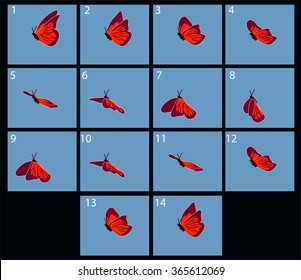 animation of flaing butterfly