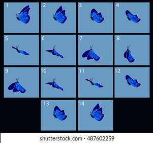 Animation of flight blue butterfly. Cartoon explosion frames