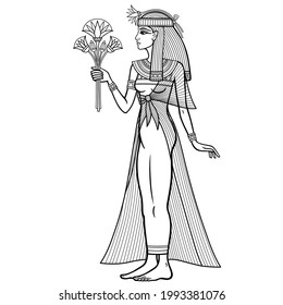 
Animation linear portrait: beautiful Egyptian woman stands with a bouquet of flowers in hand. Full growth. Goddess, princess. Profile view. Vector illustration isolated on a white background. 