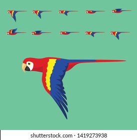 Animation Macaw Flying Cute Cartoon Vector Illustration