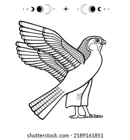 Dibujo monocromo de animación:  ave sagrada del Halcón egipcio. Dios Horus - deidad del cielo y del sol. Ver perfil. Ilustración vectorial aislada en un fondo blanco.