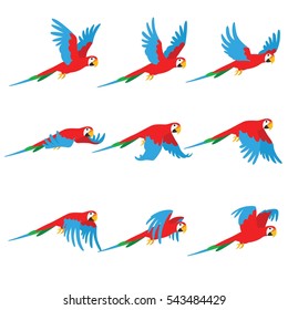 Animation parrot flies. Sprite bird flies. 