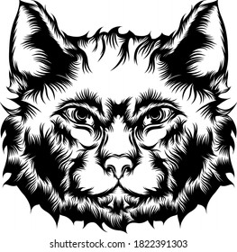 The animation of the street cat for the ideas for tattoo illustration 