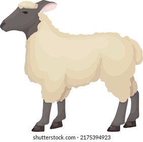 animation vector of a beigie color sheep, with full body close-up taken from the side. animal concept template.
