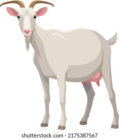 Animation Vector Of A White Big  Goat, With Big Horn; Full Body Close-up From The Side. Wild And Farm Animal Template.