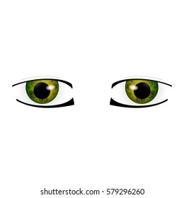 Anime Eyes. Human eyes closeup. Beautiful big cartoon eyes. Vector illustration