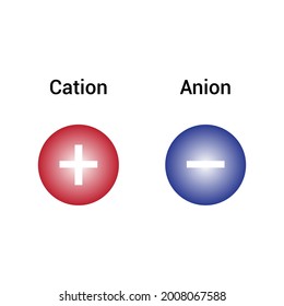 anion and cation symbol vector illustration