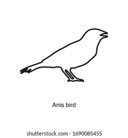 Anis bird icon vector on white background. Black icon illustration