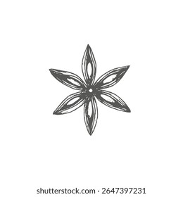 Anis with seeds. Graphics vector illustration. For packaging, wrapping paper, New Year's textiles, stickers, cookbook and recepies, also in decoration cafe. Ingredient for mulled wine and bakes.