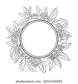 Anijs Branch Seeds Outline Round Frame