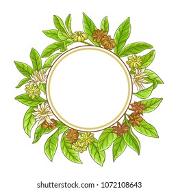anise branches frame