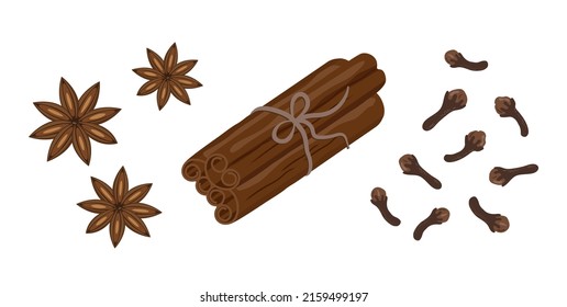Anise, cinnamon and cloves spices, flat style vector illustration isolated on white background