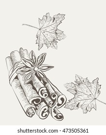 Anise and cinnamon Vintage Engraved illustration isolated on white background. Vector hand drawn sketch. Autumn season flavor 