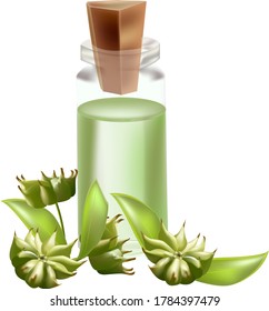 anise essential oil with green anise stars and leaves