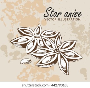  Anise on an old beige background. Engraved style. Kitchen spice. Herbal aroma.