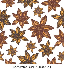 Anise. Pattern star Anise. Hand drawing. Vector drawing. Food illustration isolated on white background. Seasoning and flavoring.