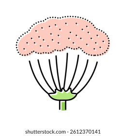 anise plant color icon vector. anise plant sign. isolated symbol illustration