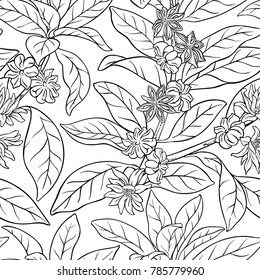 anise seamless pattern
