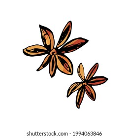 Anise seeds hand drawn illustration isolated on white background