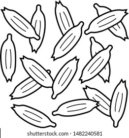 Anise seeds. Vector outline icon.