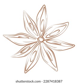 Anise sketch in trendy brown shade. Spicy spice for coffee or mulled wine. Sticker. Icon. Isolate.