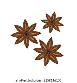 Anise spice, vector illustration isolated on white background in flat style