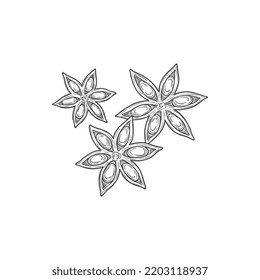 Anise star aroma seasoning isolate spicy condiment monochrome sketch icon. Vector chinese star anise or badian, dried star-shaped pericarp of fruit of Illicium verum. Staranise seeds, aniseed spice