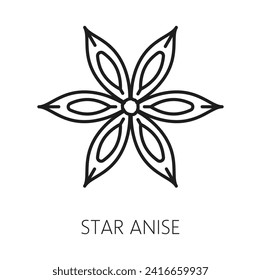 Anise star aroma seasoning, spicy condiment outline icon. Vector chinese star anise or badian, dried star-shaped staranise with seeds, aniseed spice