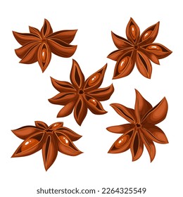 caricatura de anís star brown dry set alimento de especias, ingrediente aromático, condimento de condimento, aromatizante de hierba china de sabor anís estrella del vector seco marrón ilustración vectorial