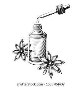 Anise star essential oil vector illustration