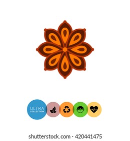 Anise star icon