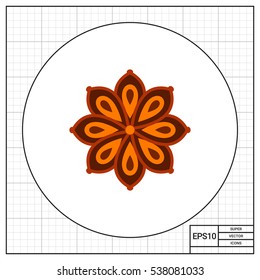 Anise star icon