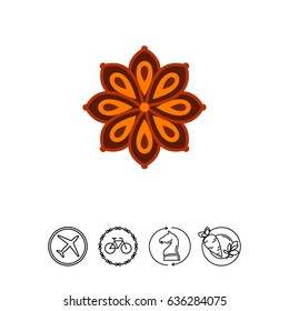 Anise star icon