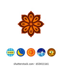 Anise star icon