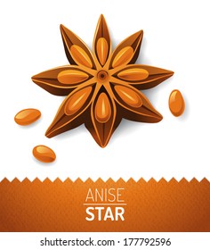 Anise star over white background