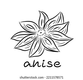 Anise star. Plant, flower, spice. Single element. Drawn by hand. Doodle, sketch, icon. Vector illustration for seasonal design, menu, print. On a white background.