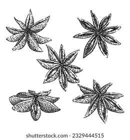 anise star set hand drawn. dry food, spice ingredient, chinese condiment anise star vector sketch. isolated black illustration