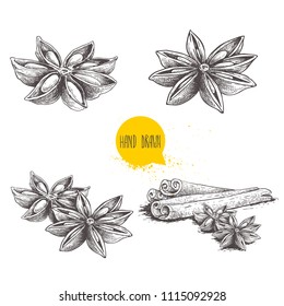 Anise star sketches set. Single, batch and composition with cinnamon sticks. Herbs and condiment retro style hand drawn collection. Vector illustrations isolated on white background.