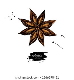 Anise Star Vector drawing. Hand drawn sketch. Seasonal food illustration isolated on white. Spice and flavor object. Cooking and aromaterapy ingredient.