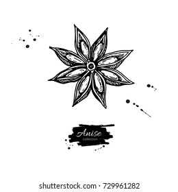 Dibujo del Vector de la estrella del anís. Boceto dibujado a mano. Ilustración de comida de temporada aislada en blanco. Objeto de especias y sabor de estilo grabado. Ingrediente de cocina y aromaterapia.